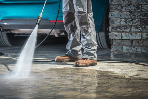 Best Paint Preparation  in Searingtown, NY