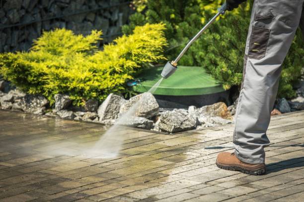 Best Soft Washing  in Searingtown, NY